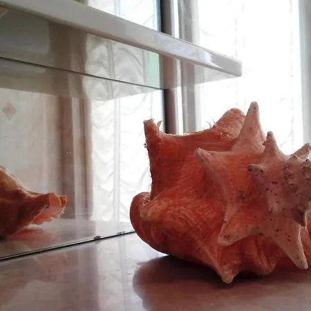 Amelie House * Levanto