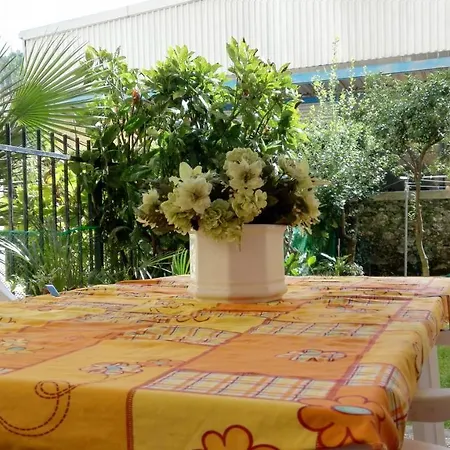 Amelie House *
