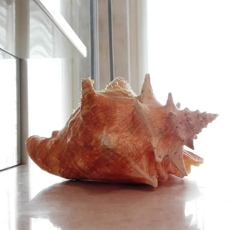 Apartman Amelie House Levanto